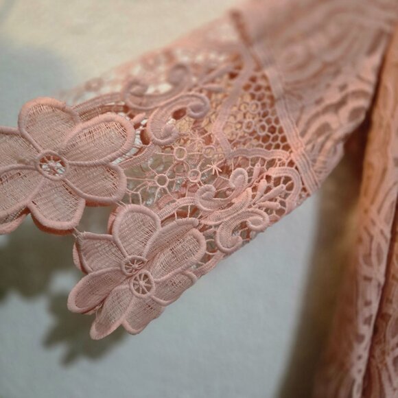 Elegant Rebellion size 3X Pink Lace Dress With Floral Accents & Zipper Closure - Picture 5 of 5